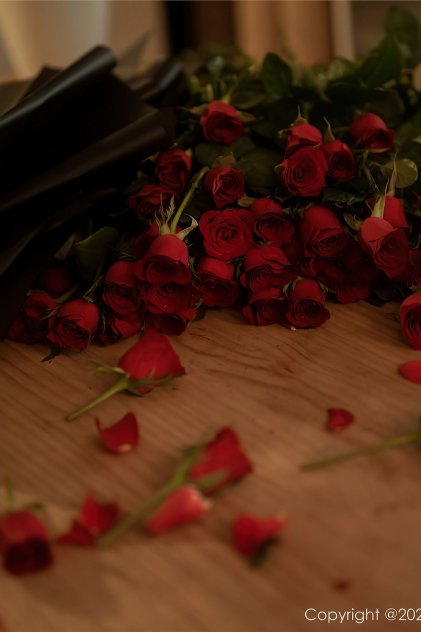 日本精品人妻久久久久